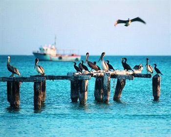 Wayak Holbox Hotel Ngoại thất bức ảnh